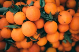 Which Oranges Are Best For Juice?